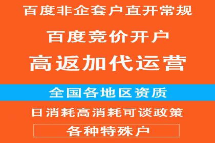 小红书信息流广告策略：成功案例解析